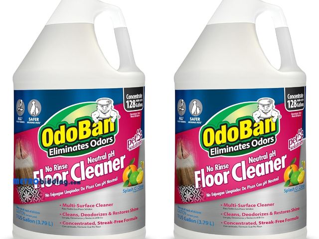 Lot 88-494278 - OdoBan Pet Solutions No Rinse Neutral pH Floor Cleaner Concentrate, Made in the USA, Splash O' Citru...