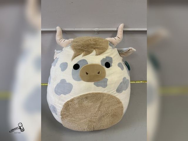 Lot 91-7510 - 24" SQUISHMALLOWS "BORSA" GREAT GIFT IDEA