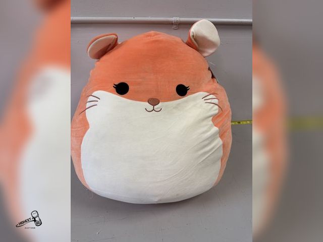 Lot 91-7515 - 24" SQUISHMALLOWS "ERICA" GREAT GIFT IDEA