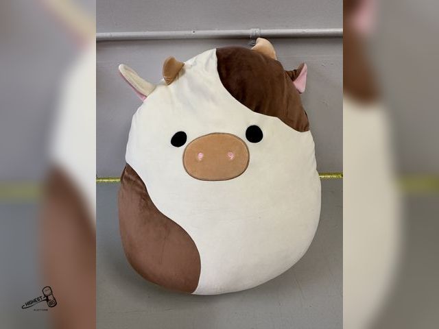 Lot 91-7504 - 24" SQUISHMALLOWS " RONNIE" GREAT GIFT IDEA