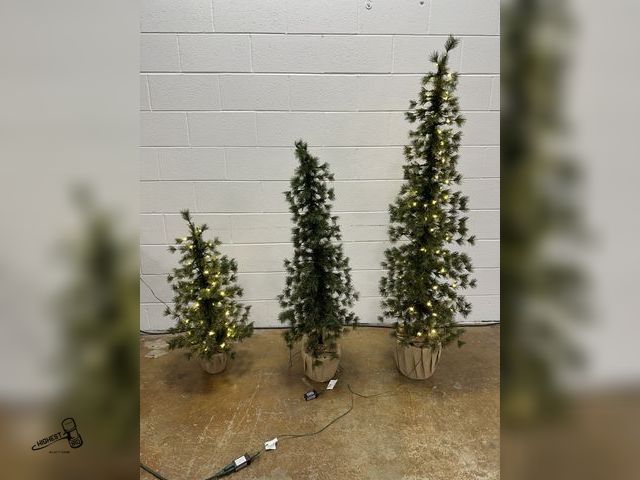 Lot 91-10631 - ALPINE TREES WITH LED LIGHTS - SET OF 3 - MIDDLE ONE DID NOT LIGHT UP