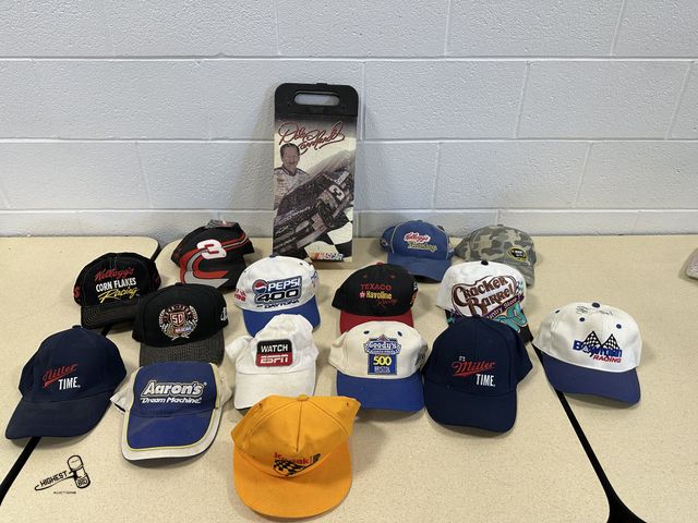 Lot 91-6998 - 15 BALL CAPS AND A DALE EARNHARDT COOLER BAG - #3 DALE EARNHARDT CRACKEL BARREL - KELLOGG RACING WIT...