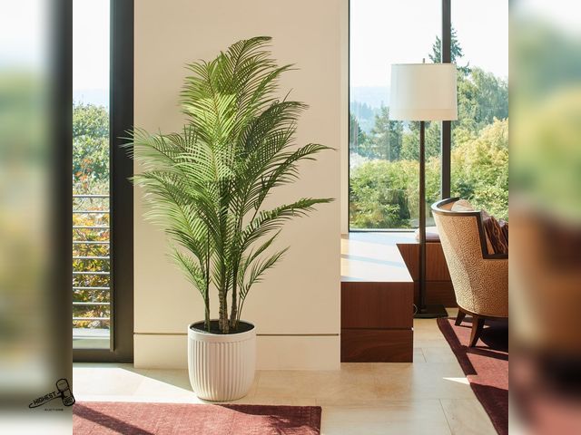 Lot 91-8874 - New Faux 6.5' Palm Tree - SOME PHOTOS ARE FOR DISPLAY PURPOSES ONLY