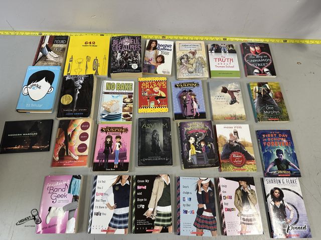 Lot 91-7099 - 27 BOOKS - LOOKING FOR ALASKA - HOUND DOG TRUE - 643 THINGS TO DRAW - WONDER