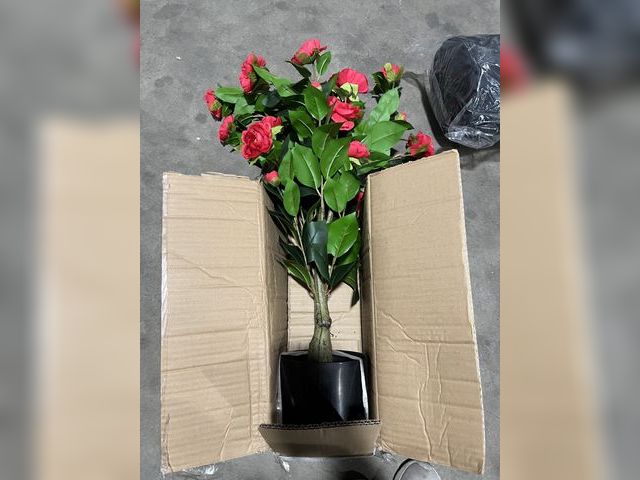 Lot 96-180525 - Artificial Camellia Tree 3FT Faux Camellia Plant in Pot, 36 inch Fake Potted Camellia Flower Tree Pl...