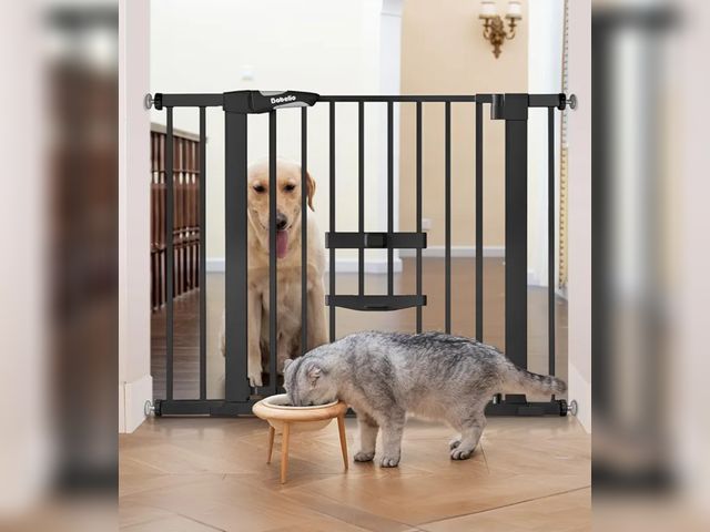 Lot 96-227588 - Babelio New Version Baby Gate with Cat Door Adjustable, 29-40" Metal Pet Door for Stairs &amp; Doorw...