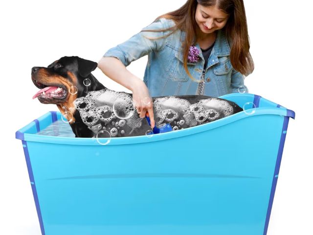 Lot 96-180268 - YUEPET Extra Large Foldable Dog Bath Tub for Large Dogs, 49 Gal Portable Dog Bathtub Lightweight Hig...