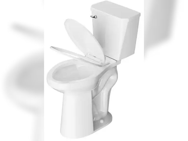 Lot 96-212104 - Simple Project
21 in. Tall 2-Piece Toilet 1.28 GPF High Efficiency Single Flush Round Toilet in Whit...