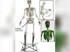 Lot 96-191364 - undefined