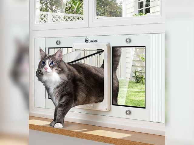 Lot 96-189954 - Cat Door for Window, Quick Installation Adjustable Width of 27"-32", Cat Window Door with 4 Locking ...