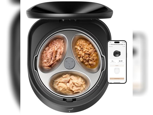 Lot 96-186063 - PETLIBRO Automatic Cat Feeder Wet Food with Stainless Steel Bowl, Refrigerated Auto Cat Feeder with ...