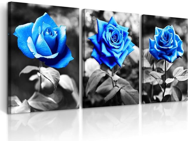 Lot 96-170254 - DZRWUBHS Large Wall Art For Living Room Wall Decor For Kitchen Black And White Canvas Prints Picture...