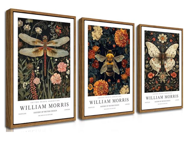 Lot 96-188281 - Floating Framed Large William Morris Canvas Wall Art Set of 3, Vintage Animal Bee Butterfly Dragonfl...