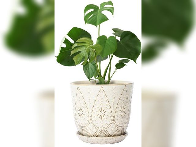 Lot 96-173739 - Gepege 10 Inch Plant Pot, Creamy White Ceramic Planter with Drainage Holes and Saucers for Plants In...