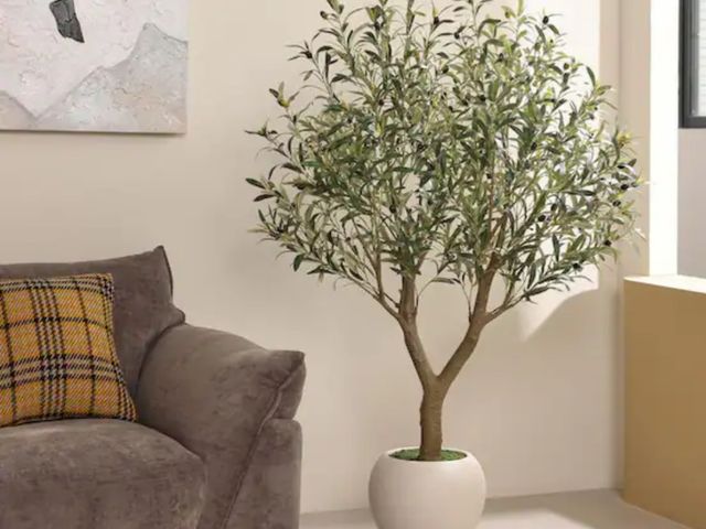 Lot 96-193851 - DR.Planzen 
5 ft. Artificial Olive Tree with White Planter, Fake Olive Silk Tree for Indoor Outdoor ...