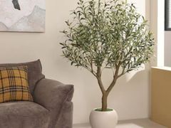 Lot 96-193851 - undefined