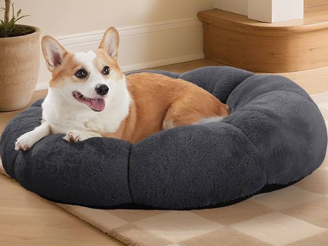 Lot 96-190136 - OhGeni 31 inches Calming Donut Orthopedic Dog &amp; Cat Bed for Medium Pets, Warming Comfort Fluffy ...