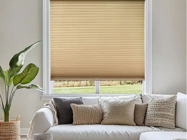 Lot 96-181874 - Chicology
Cut-to-Size Morning Croissant Cordless Light Filtering Privacy Cellular Shades 42.5 x 48 i...