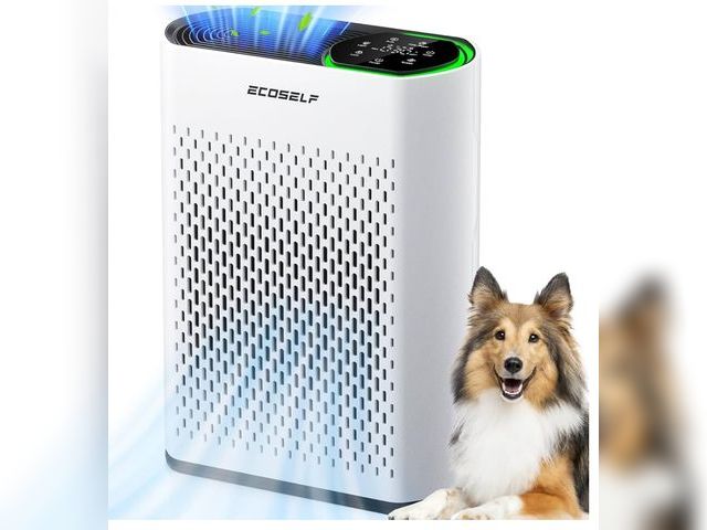Lot 96-169532 - Powerful Air Purifiers for Home Large Room Up to 2400 Ft² with Air Quality Monitor 20dB Sleep Mode, ...