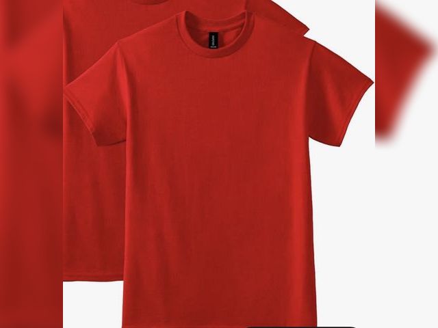 Lot 96-230374 - Red Shirt Size L

New. Actual item may vary slightly from stock photo