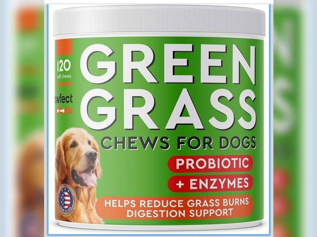 Lot 96-174210 - Green Lawn Chews for Dogs - Green Grass Chews - Urine Neutralizer Grass Burn Spots - Lawn Burn from ...