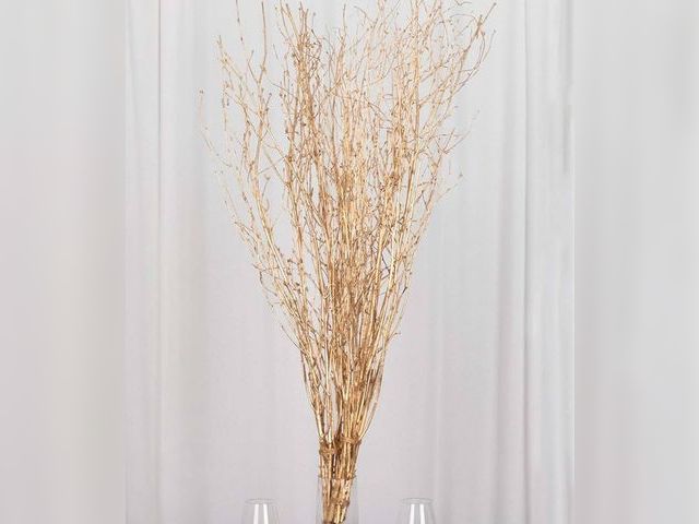Lot 96-170872 - Metallic Gold Decorative Birch Tree Branches 10 pc. 3-4’ decorative stems 

New