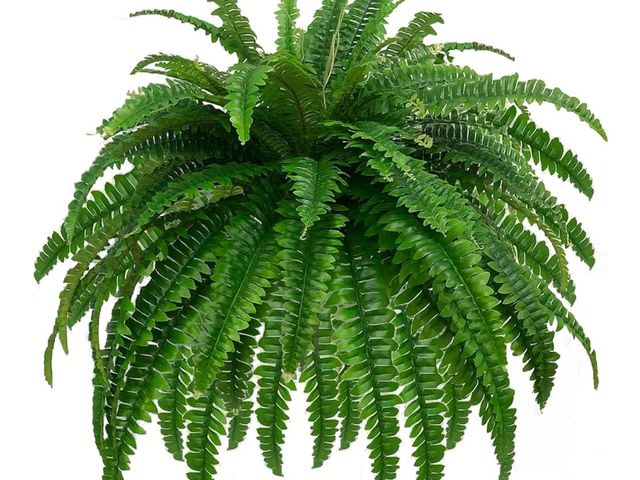 Lot 96-170104 - GYERB Large Fake Boston Ferns, 88 Branches Artificial Ferns, Faux Fern Plants for Home, Office, Gard...