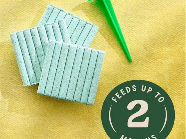 Lot 96-230862 - Miracle-Gro Indoor Plant Food Spikes for All Plants 1 Pack New