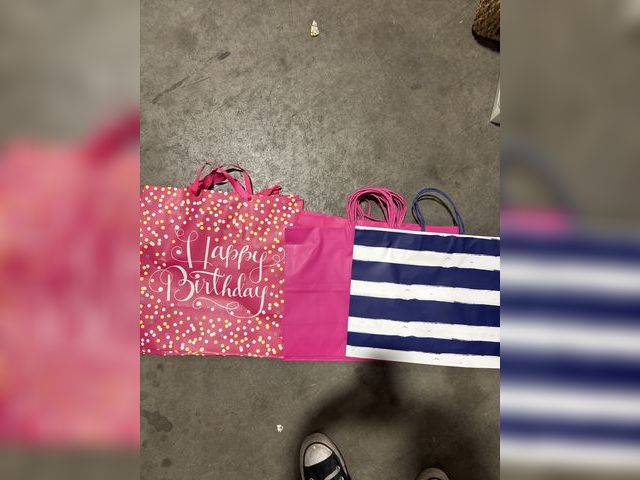 Lot 96-164692 - Lot of 12 Party/Gift Bags 
All New