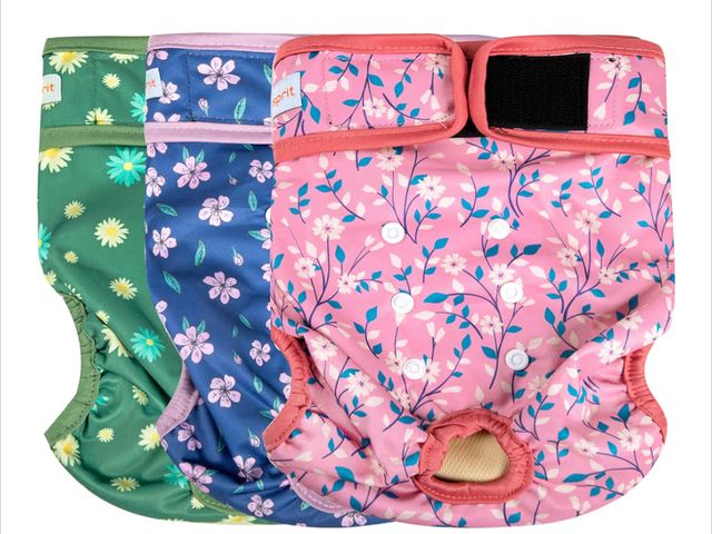 Lot 96-230529 - Langsprit Washable Female Dog Diapers - Doggie Reusable Diapers for Doggy Puppy Female in Period - H...