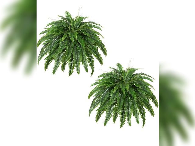 Lot 96-164263 - Dkaltm Artificial Boston Fern Bush- Set of 2 Large Artificial Ferns for Outdoors, 45Inch Large Faux ...