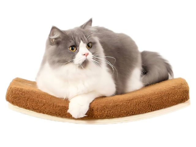 Lot 96-211494 - Curved Cat Wall Shelves and Perches, Floating Cat Wall Bed Furniture with Comfortable Cushion
Color ...