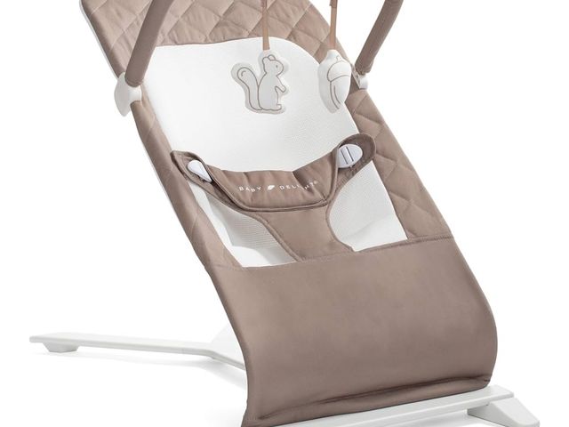 Lot 96-170905 - Baby Delight Alpine Deluxe Portable Baby Bouncer | Infant | 0-6 Months | 100% GOTS Certified Organic...