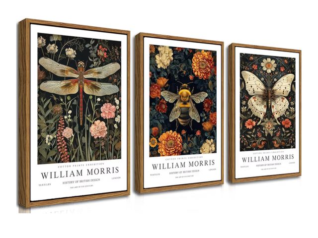 Lot 96-190203 - Floating Framed Large William Morris Canvas Wall Art Set of 3, Vintage Animal Bee Butterfly Dragonfl...