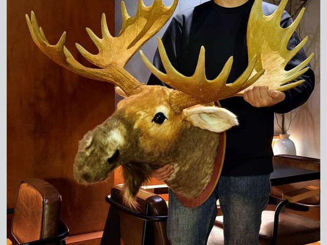 Lot 96-176864 - TRABEATOGA Life-size Moose Head Trophy Wall Décor Wall Hanging Wall Decoration Creative Animal Wall ...