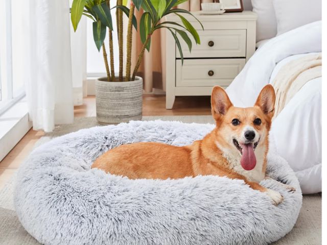 Lot 96-188005 - WESTERN HOME WH Calming Dog &amp; Cat Bed, Anti-Anxiety Donut Cuddler Warming Cozy Soft Round Bed, F...