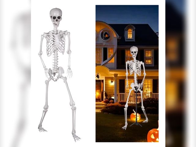 Lot 96-177814 - 7.9ft Halloween Full Size Skeleton, Realistic Giant Human Skeleton Bones with Full Body Posable Join...