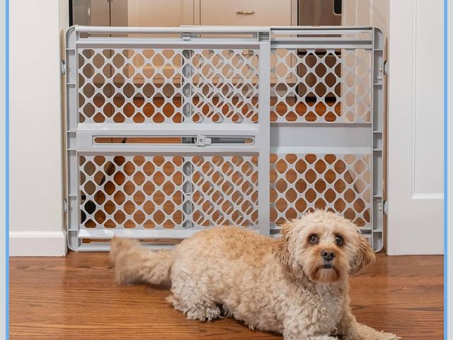 Lot 96-212221 - MYPET Universal Pet Gate: 26” - 42” Wide Dog Gate for Doorways with Pressure Fit or Swinging Door Ha...