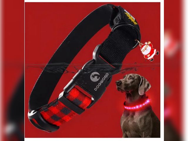 Lot 96-192087 - DOGWONG LED Dog Collar - Christmas Red Plaid Heavy Duty Light up Dog Collars - Rechargeable Waterpro...
