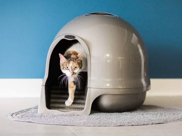 Lot 96-197462 - Petmate Booda Clean Step Cat Litter Box Dome (Made in the USA with 95% Recycled Materials)- Brushed ...