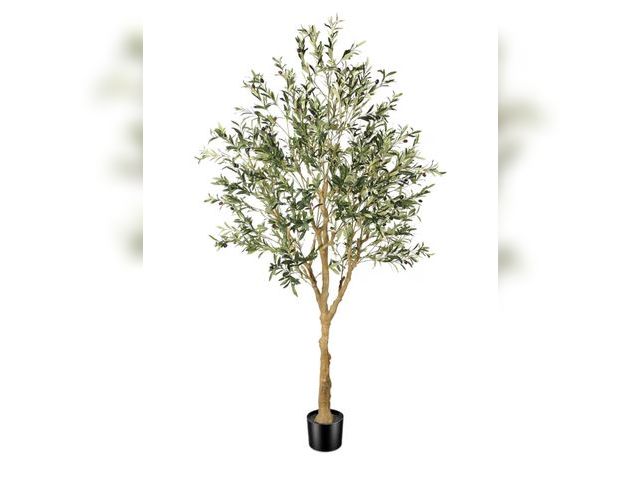 Lot 96-179258 - Faux Olive Tree 8ft- Realistic Artificial Olive Tree - Tall Fake Potted Olive Silk Tree Artificial I...