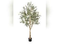 Lot 96-179258 - undefined