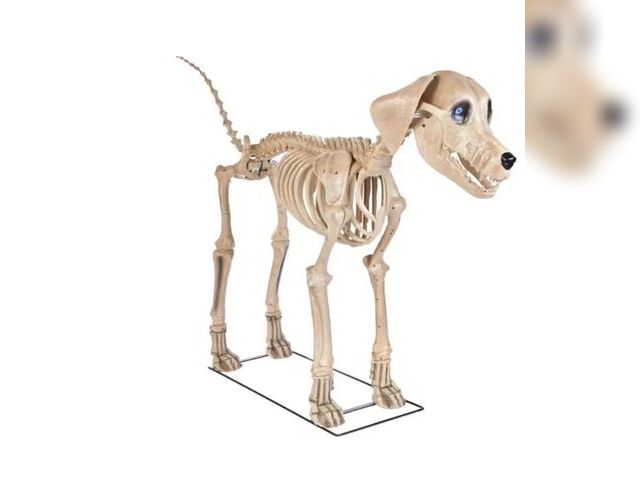 Lot 96-182110 - Home Holiday Accent Home Accents Holiday 7 Ft. Skelly's Dog MSRP $299.99 Unused