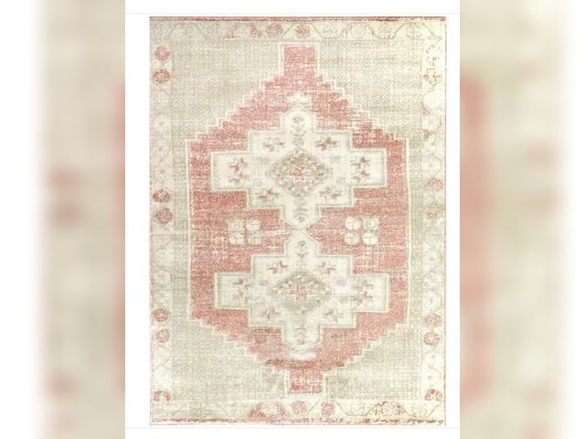 Lot 96-165758 - StyleWell
Fermont Blush 6 ft. 7 in. x 9 ft. Medallion Area Rug
New - may have something spilt on it ...