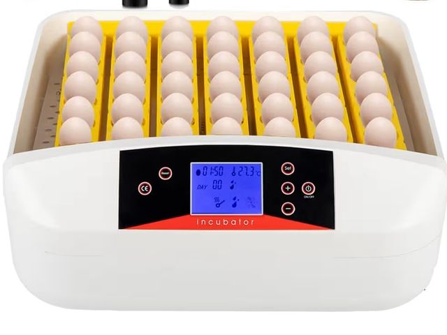 Lot 96-178820 - 55 Egg Incubator with Humidity Display
Used untested