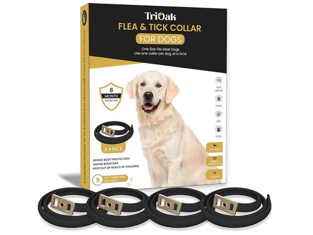 Lot 96-171013 - 4 Pack Flea and Tick Collar for Dogs, 8-Month Protection, Flea Tick Collar for Dogs, Black


New