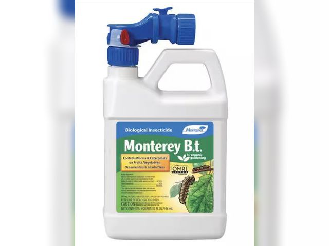 Lot 96-212078 - Monterey B.T. For Gardening 1QT
New