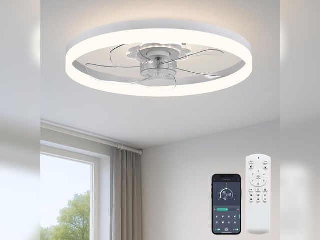 Lot 96-187968 - 20‘’ Ceiling Fan with Light, Upgraded Low Profile Fan, Flush Mount Ceiling Fan, 6 Speeds, Dimmable L...