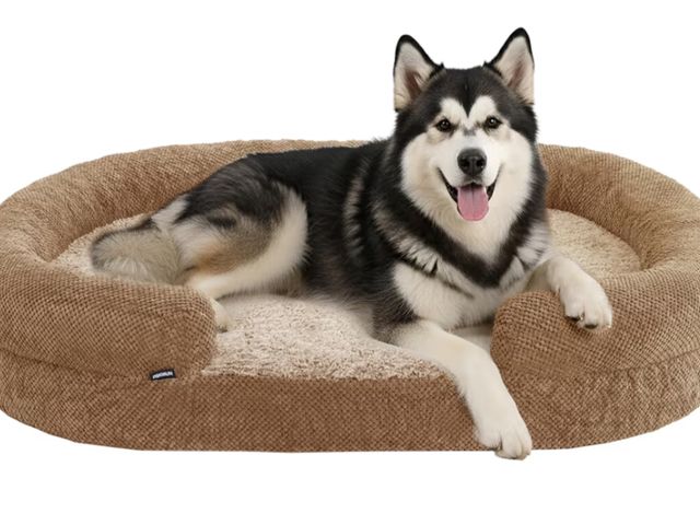 Lot 96-188043 - Orthopedic Dog Bed for Large Dogs – L Size Washable Bolster Couch, Extra-Thick 3.6" Foam Oval Pad Fi...