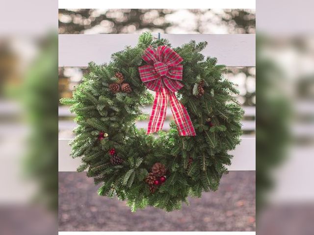 Lot 96-191391 - Worcester Balsam Farms Live (perishable) Pre-Lit Wreath, New